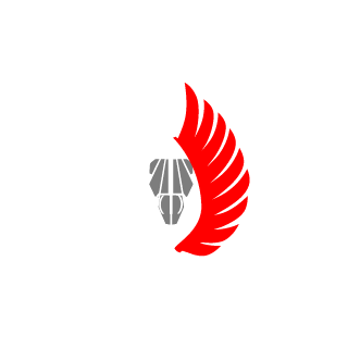 PlastikoweWidly2's emblem