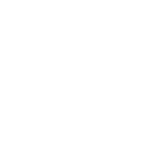 19Pobeda80's emblem