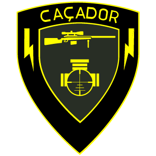 sdnitzche's emblem