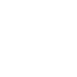 NeverAReason's emblem