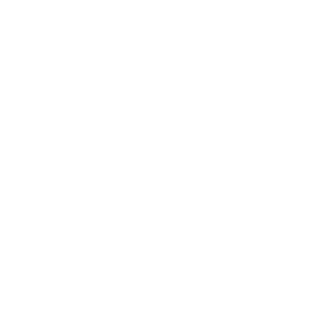 deblike's emblem