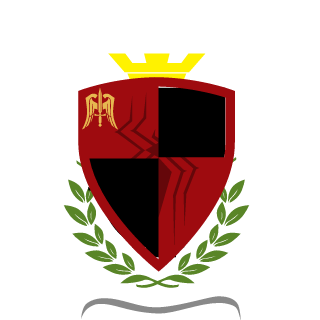 CleanTitle's emblem
