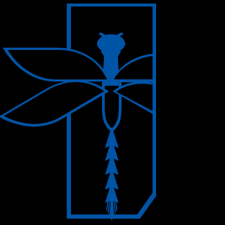 Deevo10's emblem