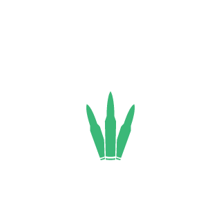 1fakirek's emblem