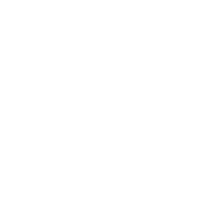 Nylo's emblem