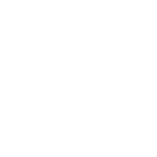 saintdegaspar's emblem