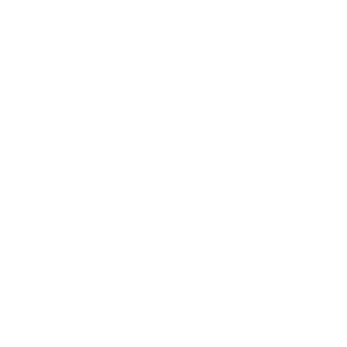 Randomle0s's emblem