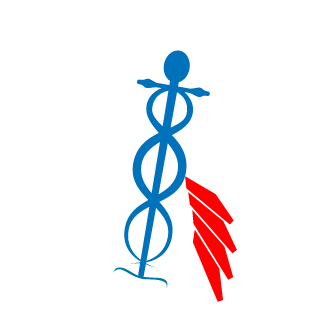 DemyanovSasha's emblem