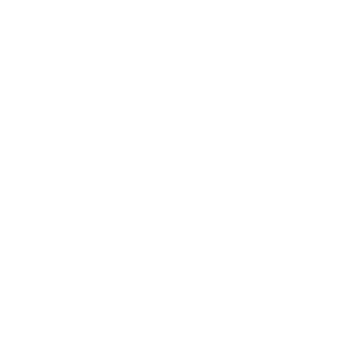 Domfix's emblem