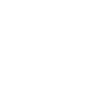 H-FairyTail's emblem