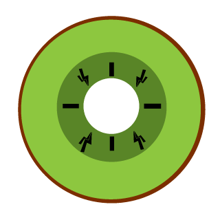 Kiwilsza's emblem