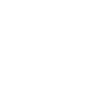 ChinComet_Elder's emblem