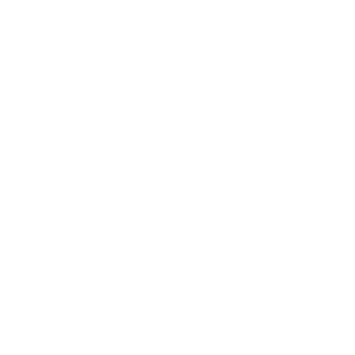 romanzavdv's emblem