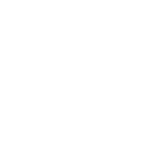 assasinsthestorm's emblem