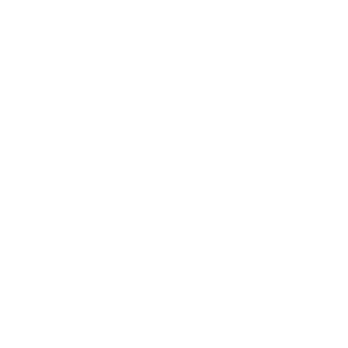 Nerfshinobi's emblem