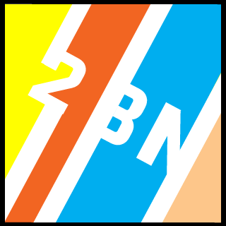 TwoBrokeNerds's emblem