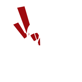 NEGOTAURO's emblem