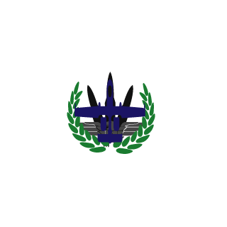 ewerton1's emblem