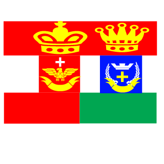 NaxetNexus's emblem
