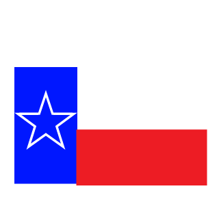 NET1107's emblem