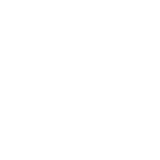 Asen47's emblem
