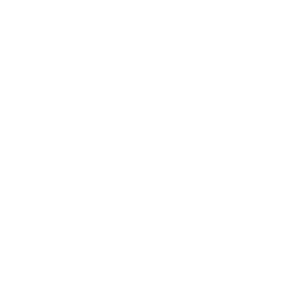 ElVezrST's emblem