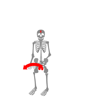 Papitotri's emblem