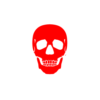 soulgamer31br's emblem