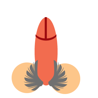 _JoKeR_NNov_52ru's emblem