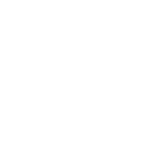 BrieanuCheese's emblem