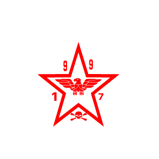 Dominaattori13's emblem