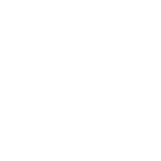 DragonBait 501's emblem