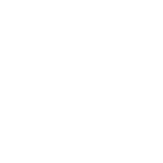 TPE-Wand's emblem