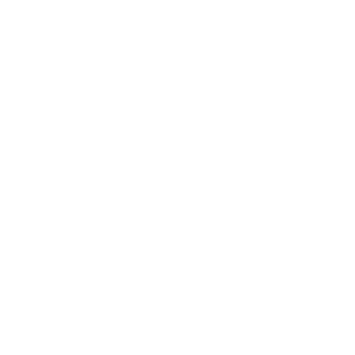 biehnbag's emblem
