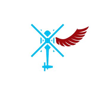 Vladimirx17's emblem