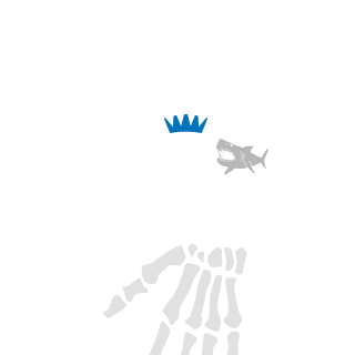 NetJD69's emblem