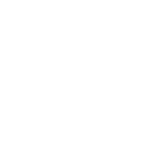 05bodyguart's emblem