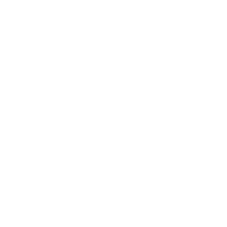 II-SaNaD11-II's emblem