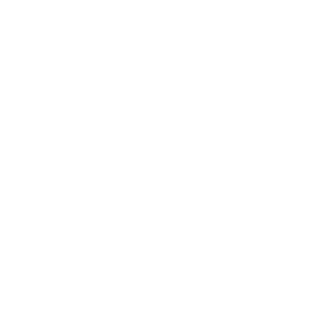 RagnaarSkywalker's emblem