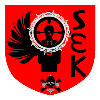 SerialEliteKiller's emblem