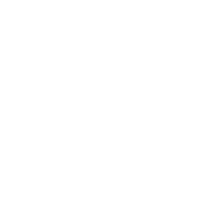iPoldon's emblem