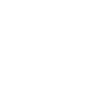 abgeher5000's emblem