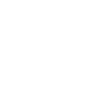 AnebranteN's emblem