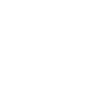 techgordo's emblem