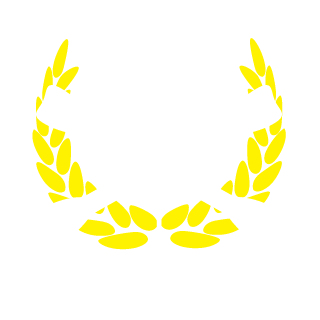 stormtheg8z's emblem