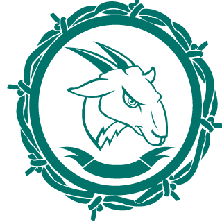 Carlos20uru's emblem