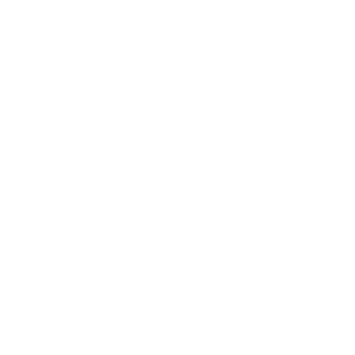 BrassHunter's emblem