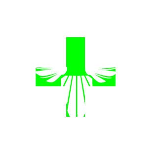 Bzoli08's emblem
