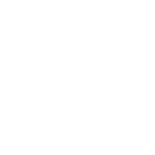 LoneRonin23's emblem