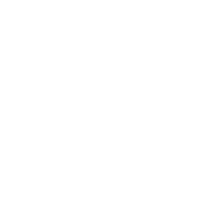 radja_1337's emblem
